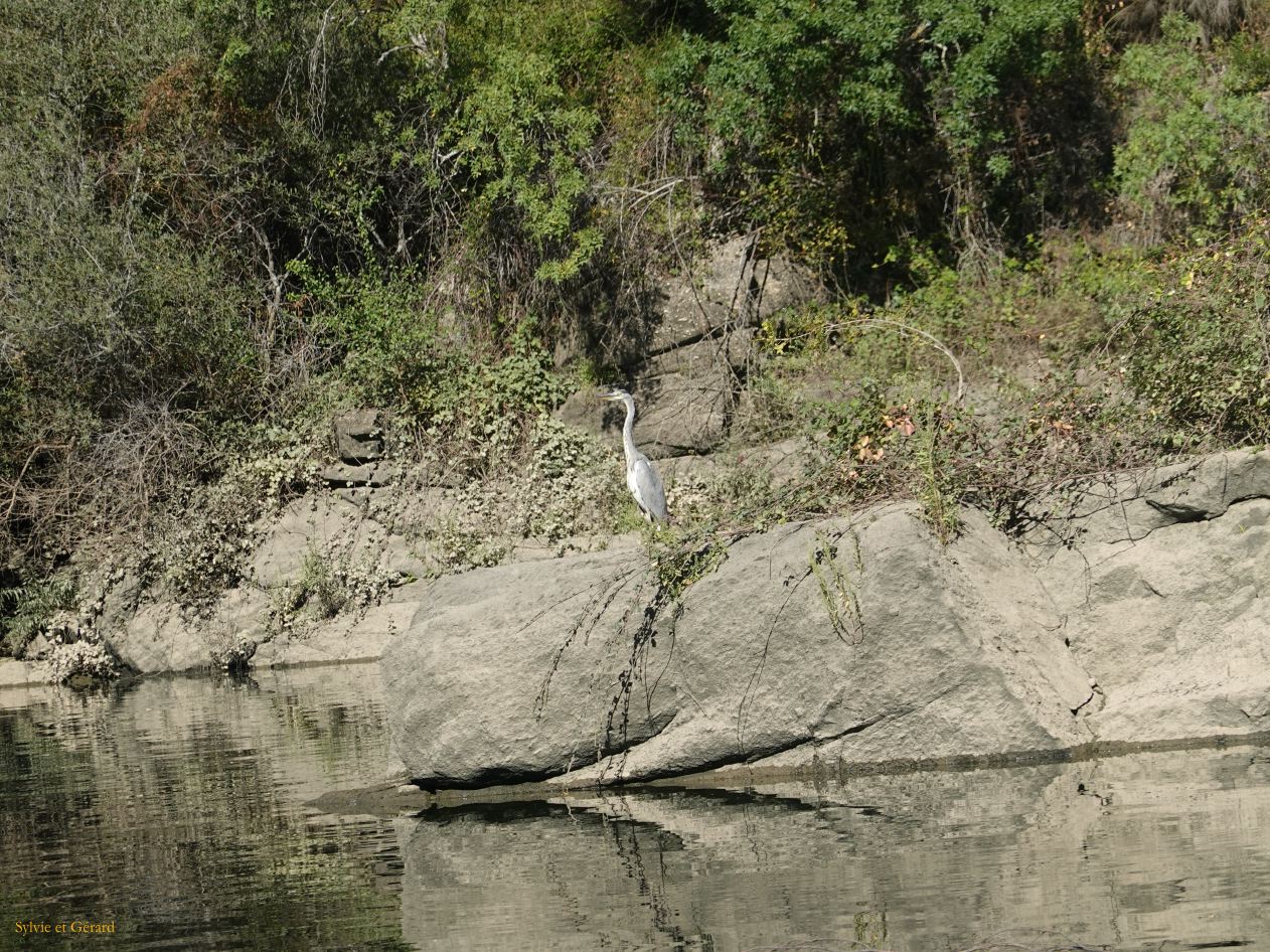 10 Portugal 07 Miranda do Douro croisière dur le fleuve DSC00946