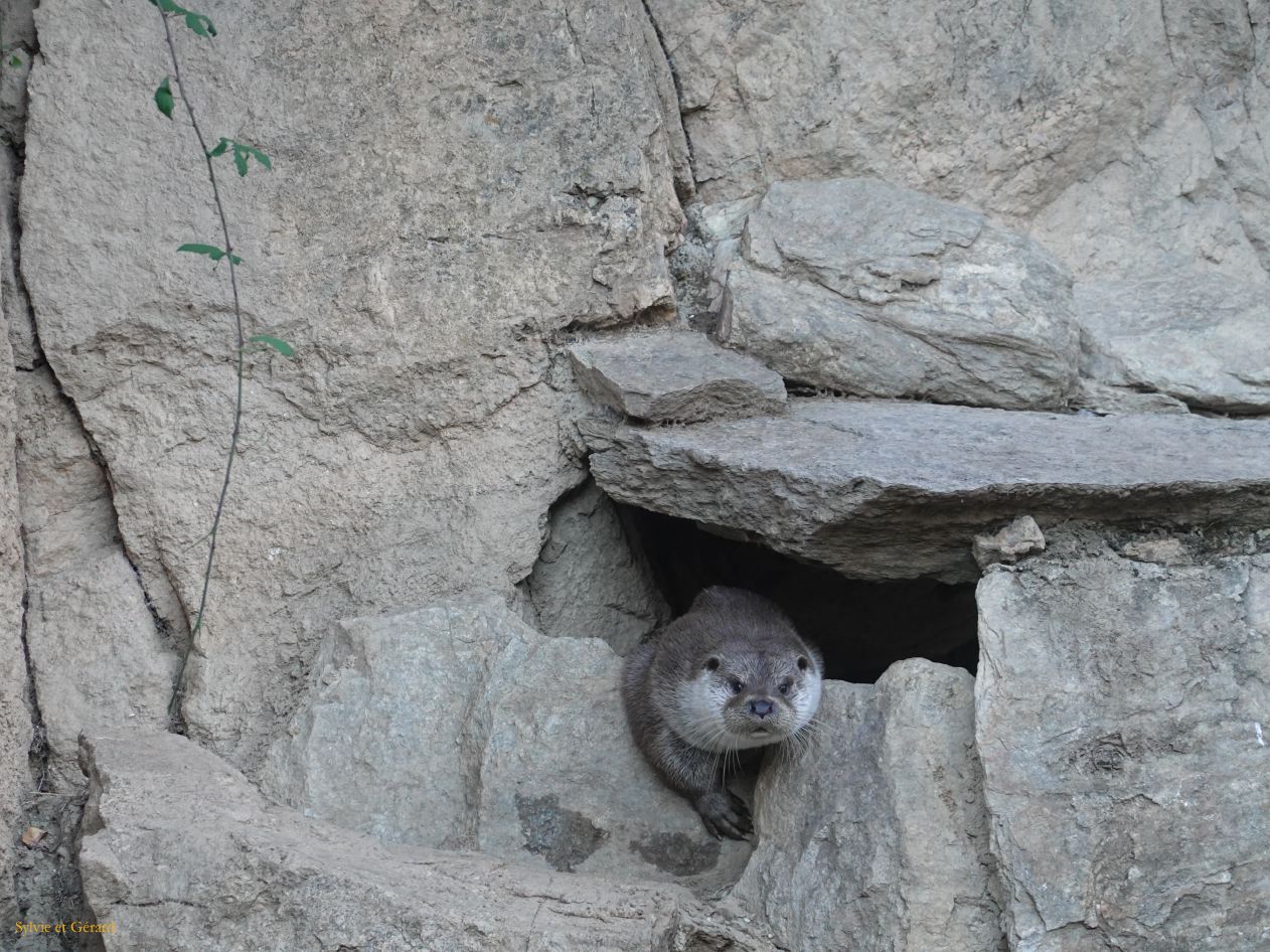 10 Portugal 10 Miranda do Douro croisière dur le fleuve DSC00982