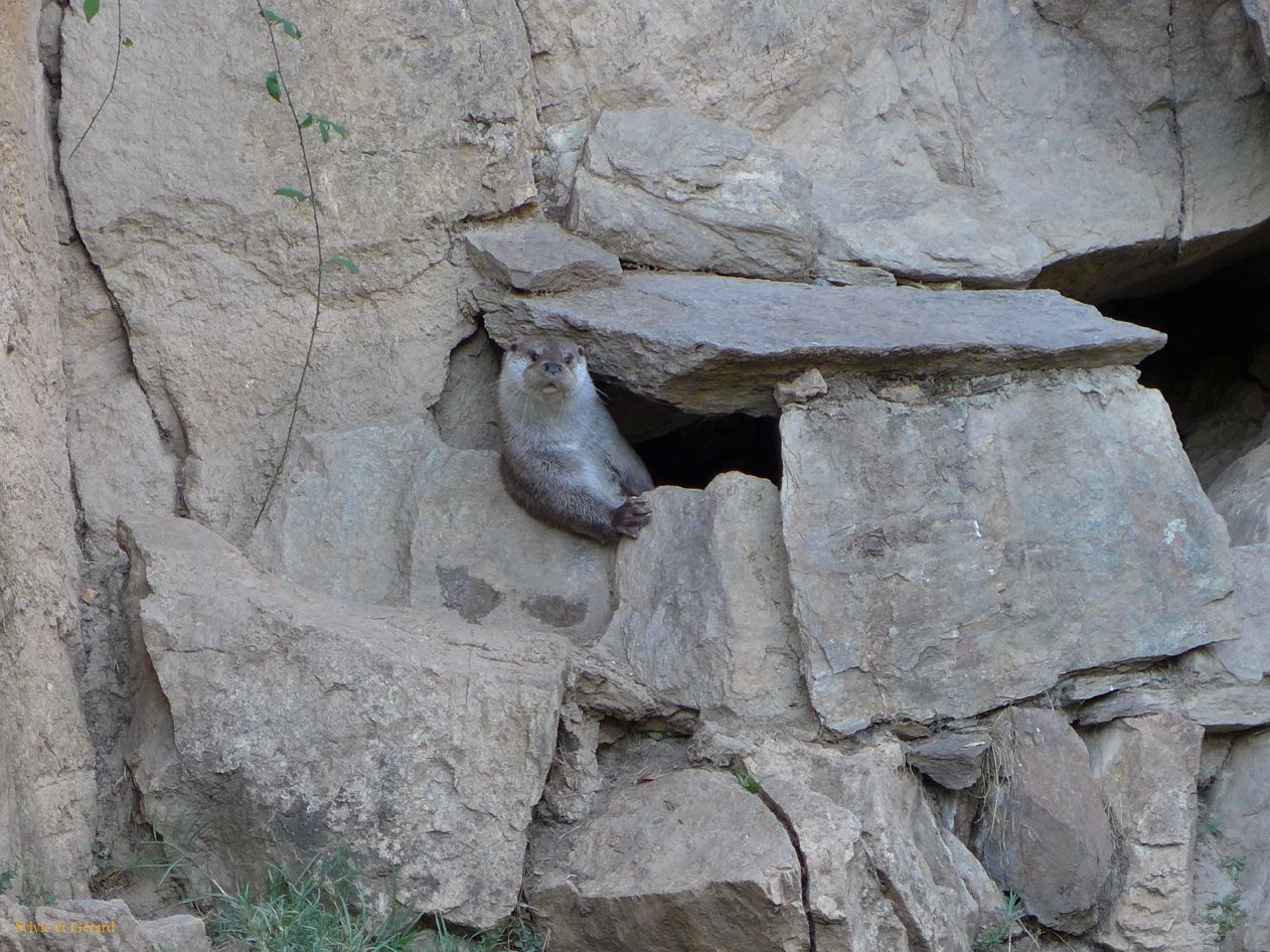 10 Portugal 11 Miranda do Douro croisière dur le fleuve P1400569