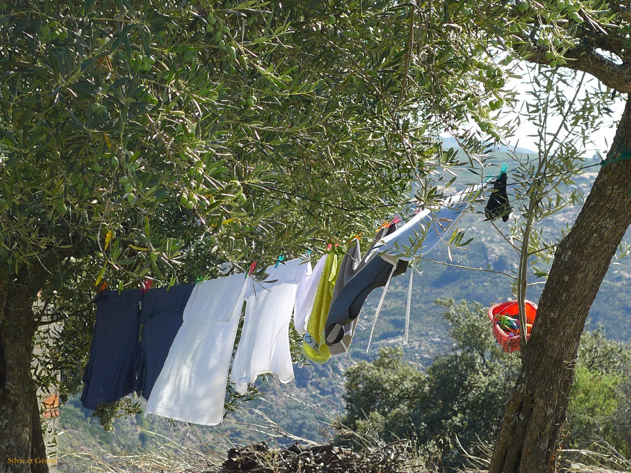 11 Castille et Leon 07 Pinilla de Fermoselle dans le village P1400735