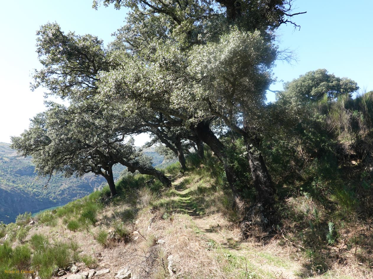 11 Castille et Leon 08 Pinilla de Fermoselle Mirador du GR14 DSC01085