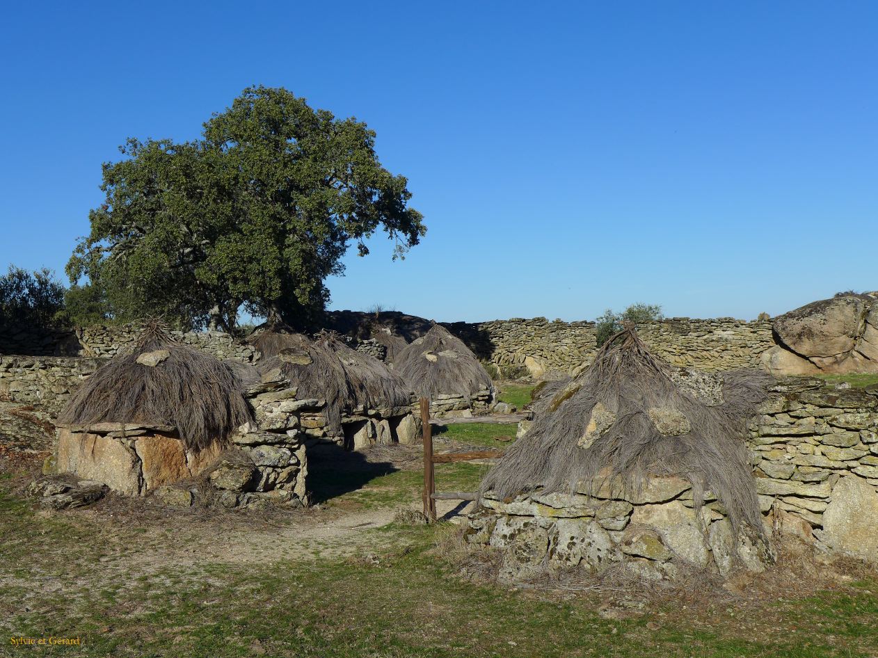 12 Castille et Leon 03 Torregamones los Chiviteros P1400589