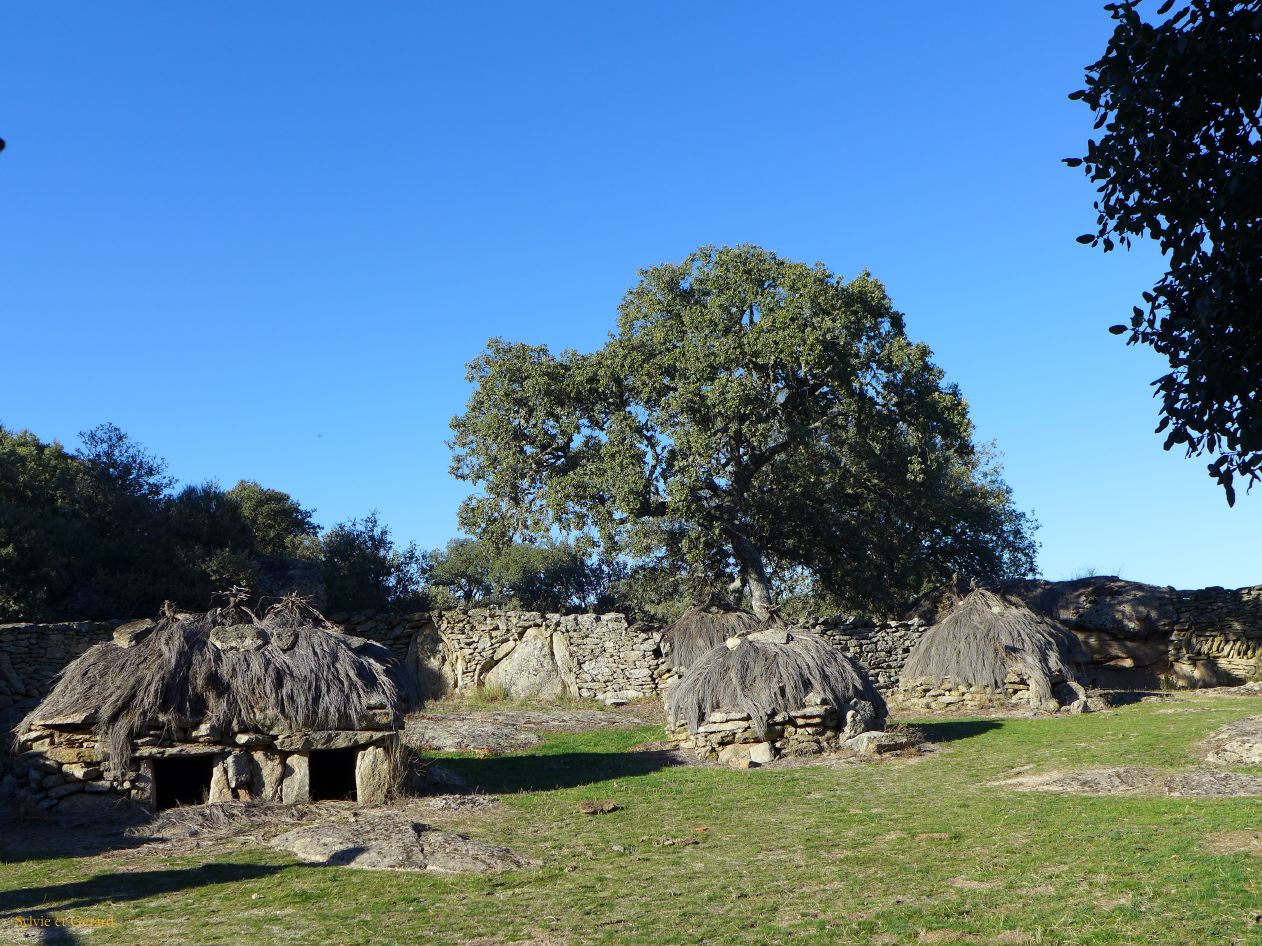 12 Castille et Leon 04 Torregamones los Chiviteros P1400591