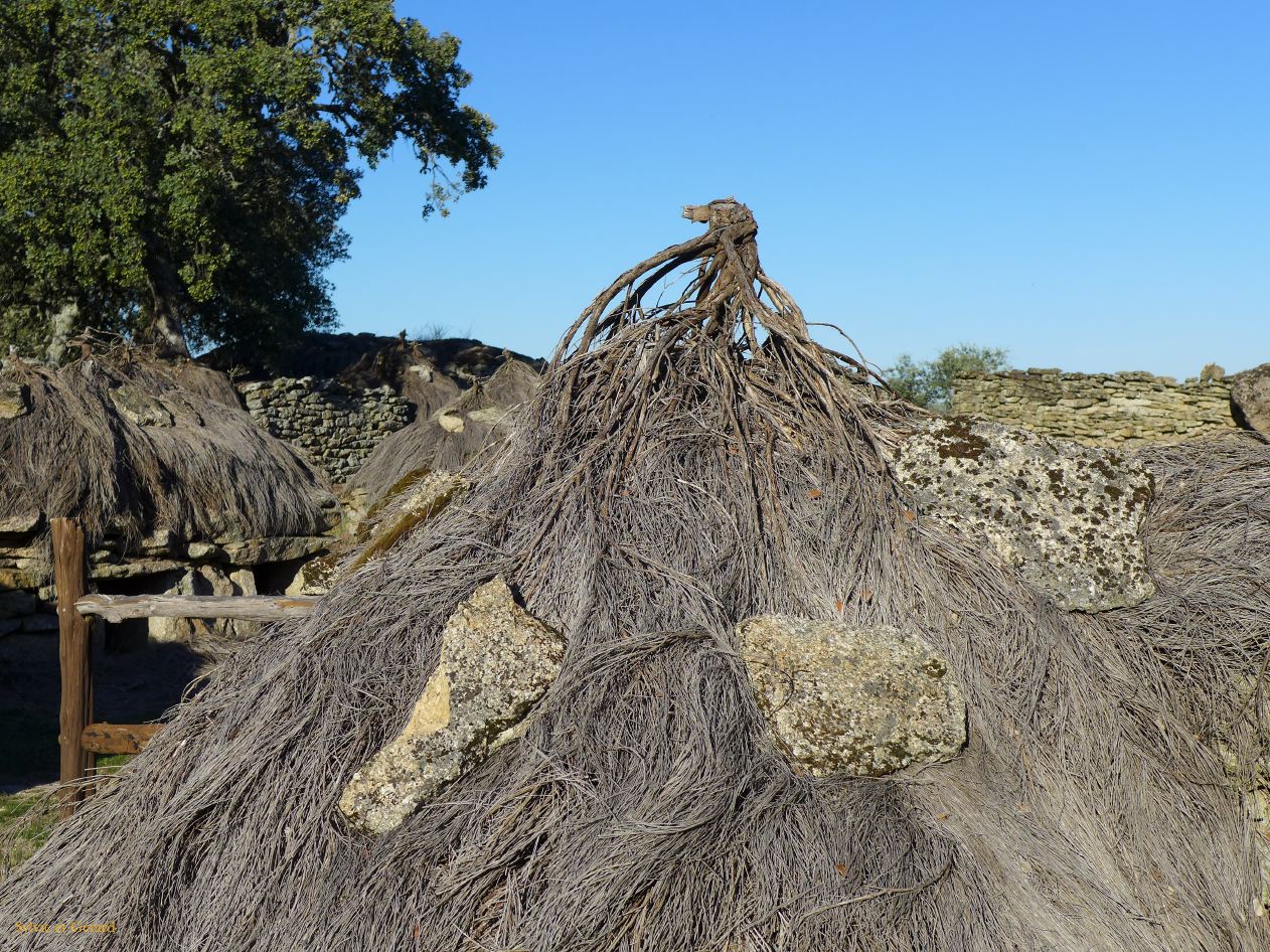 12 Castille et Leon 07 Torregamones los Chiviteros P1400611