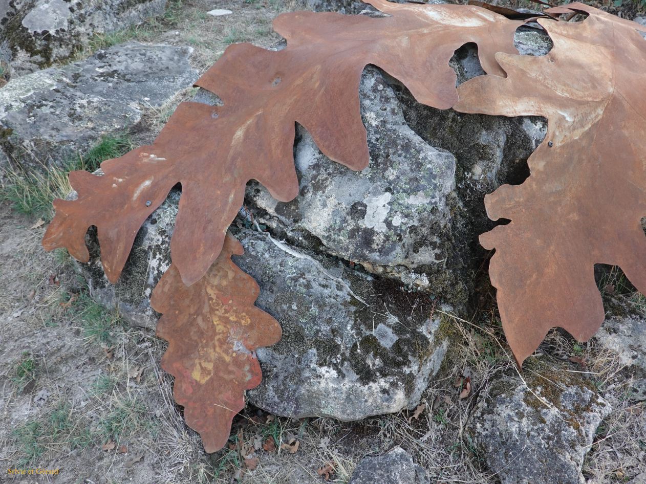 13 Castille et Leon 24 La Alberca Camino de las Raices DSC01487