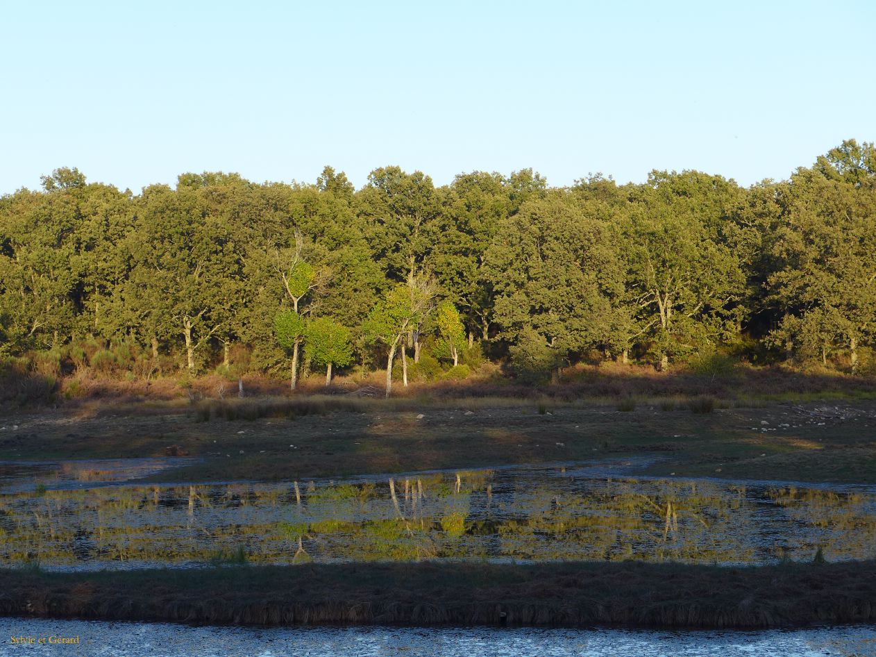 13 Castille et Leon 37 La Alberca Camino de las Raices P1410405