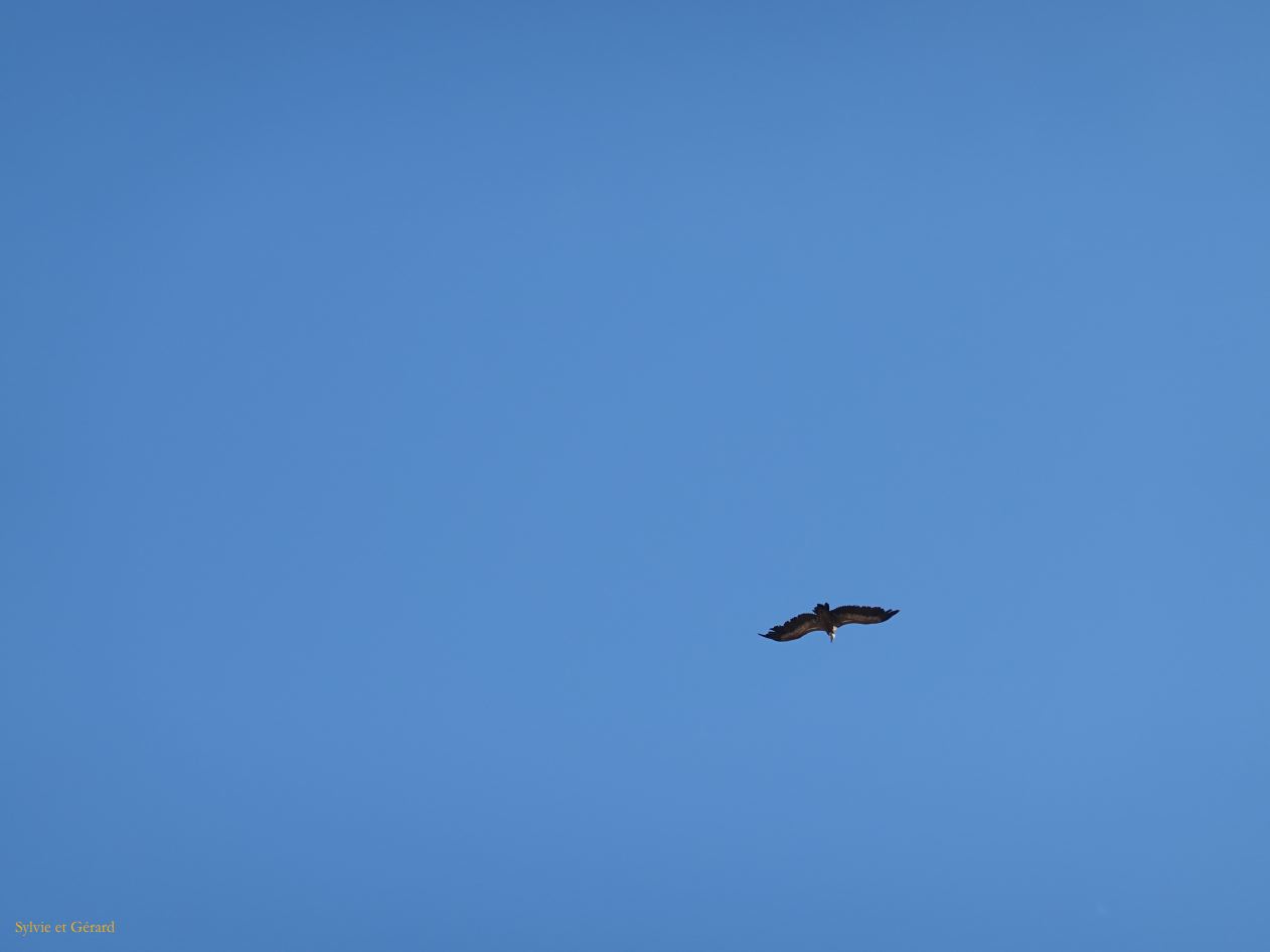 13 Castille et Leon 47 La Alberca la Peña de Francia DSC01518