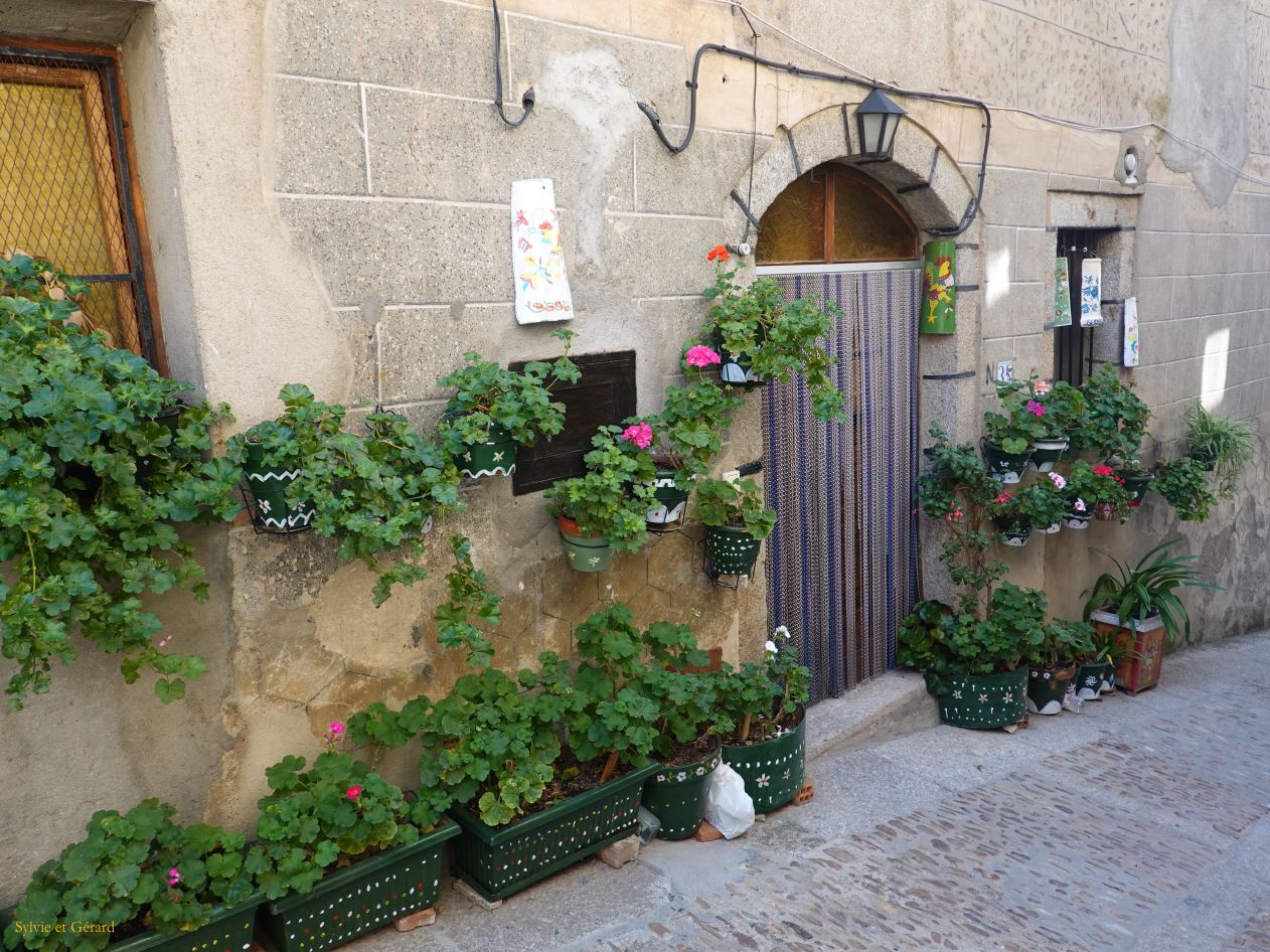 14 Castille et Leon 05 Miranda del Castañar DSC01624