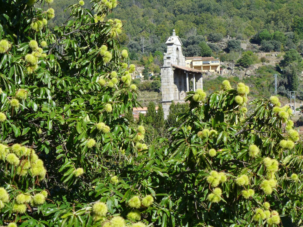15 Castille et Leon 05 San Martin del Castañar dans le village P1410582