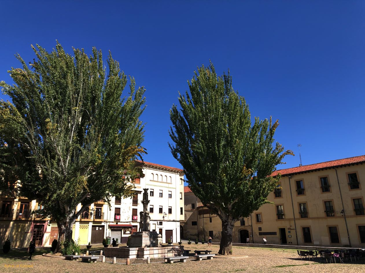 02 Castille et Leon 14 Leon Plaza Santa Maria del Camino IMG_9225