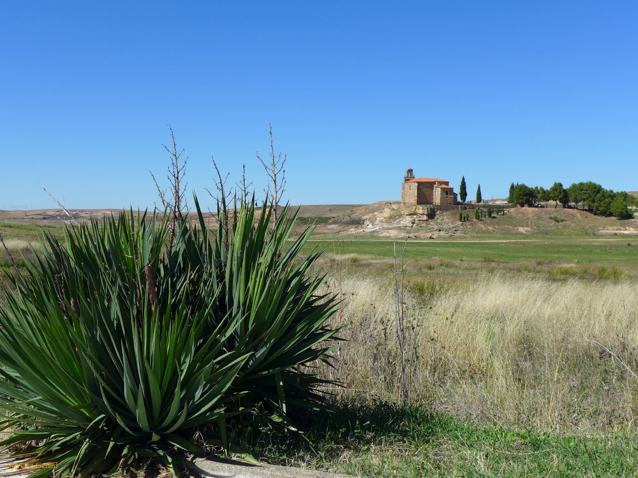 04 Castille et Leon 11 Zamora Montamarta Ermita de la Virgen del Castillo P1400333