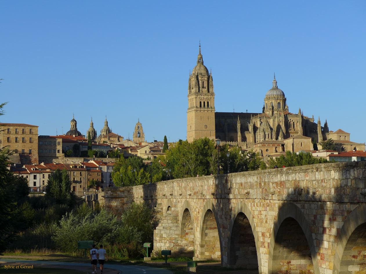 05 Castille et Leon 01 Salamanque le Pont Romain P1400896