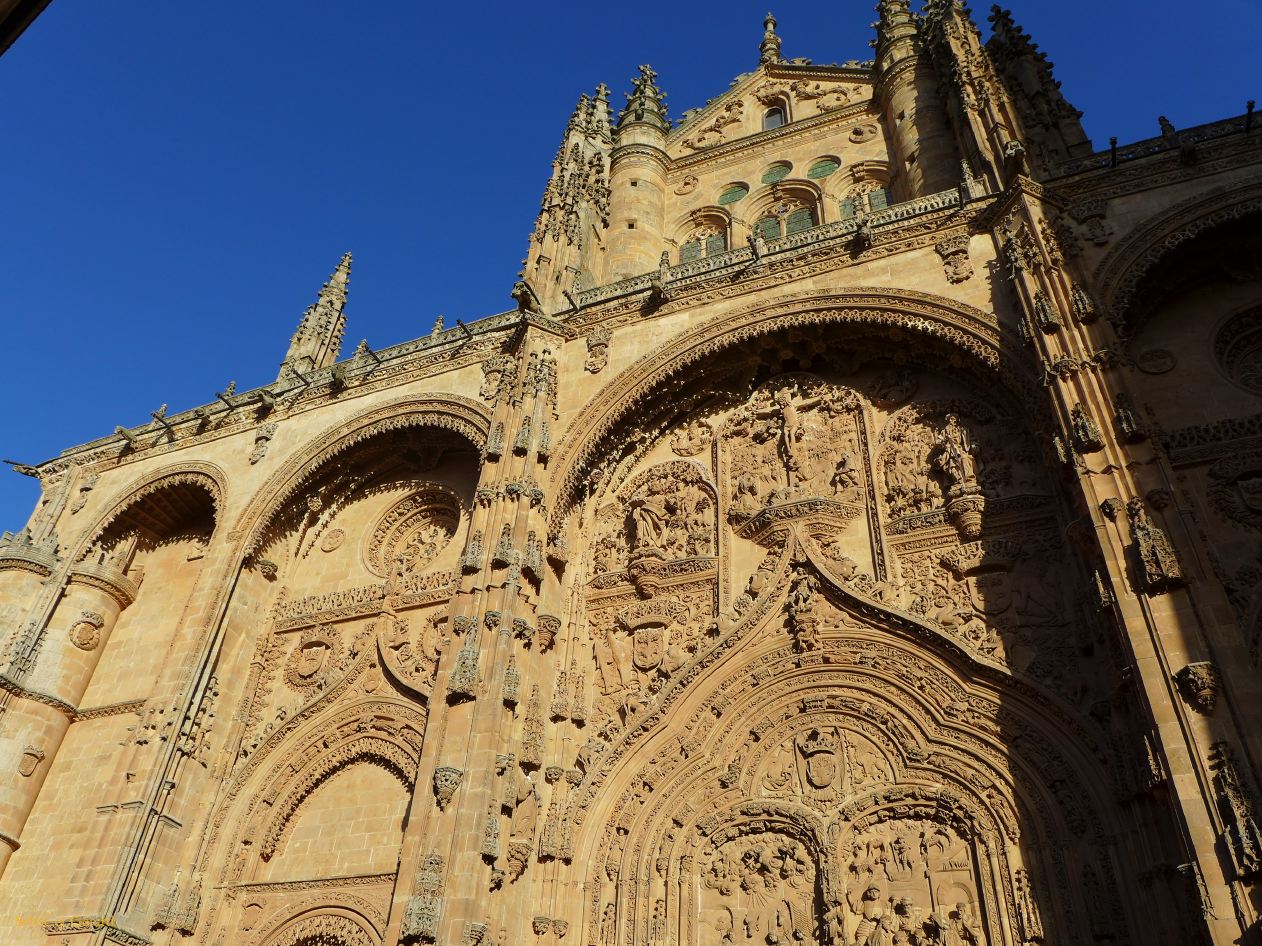 05 Castille et Leon 04 Salamanque Cathédrale - extérieur P1400886