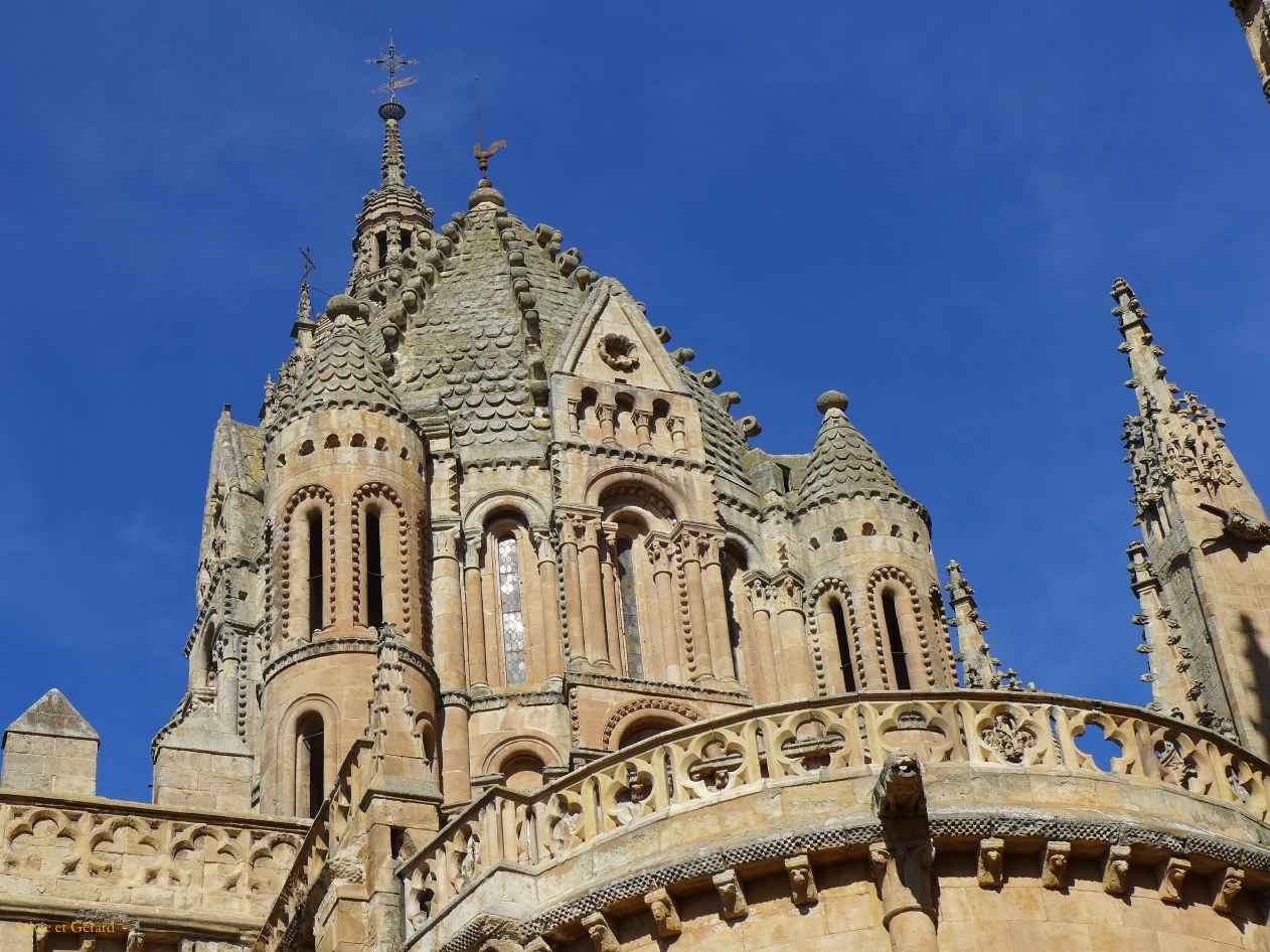 05 Castille et Leon 05 Salamanque Cathédrale - extérieur P1410012