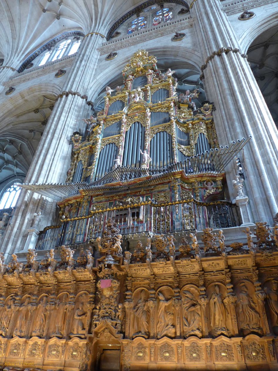 05 Castille et Leon 07 Salamanque Cathédrale Nueva  - intérieur P1400958