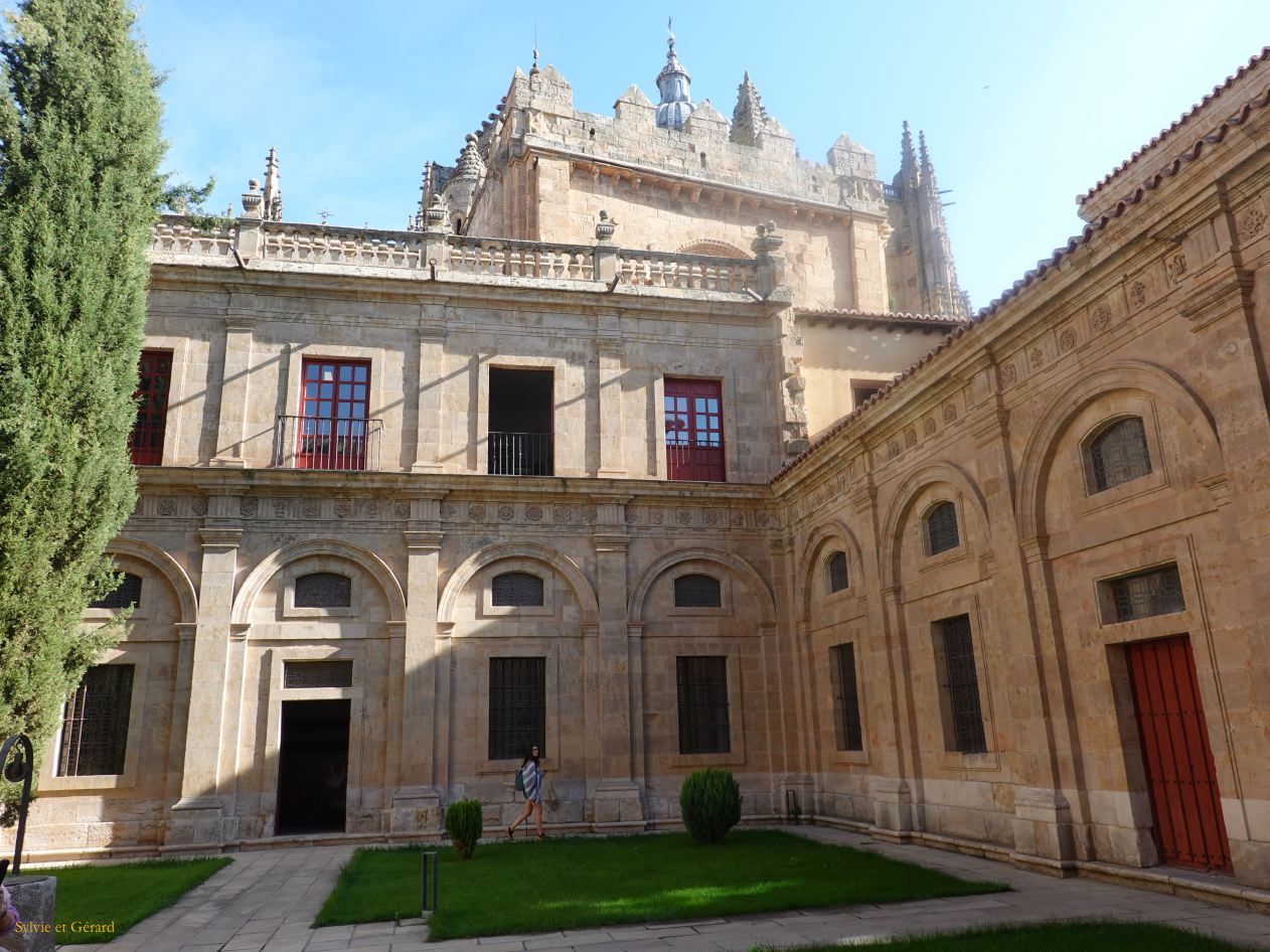 05 Castille et Leon 13 Salamanque Cathédrale Vieja  - le cloître DSC01237