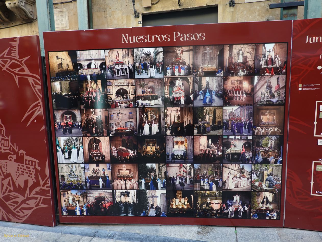 05 Castille et Leon 19 Salamanque dans la ville DSC01148