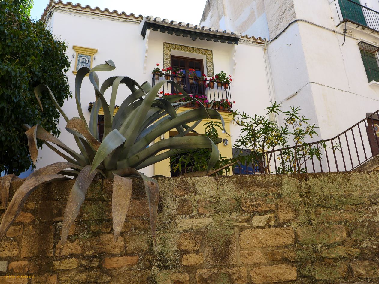 Ronda 10 dans la ville 