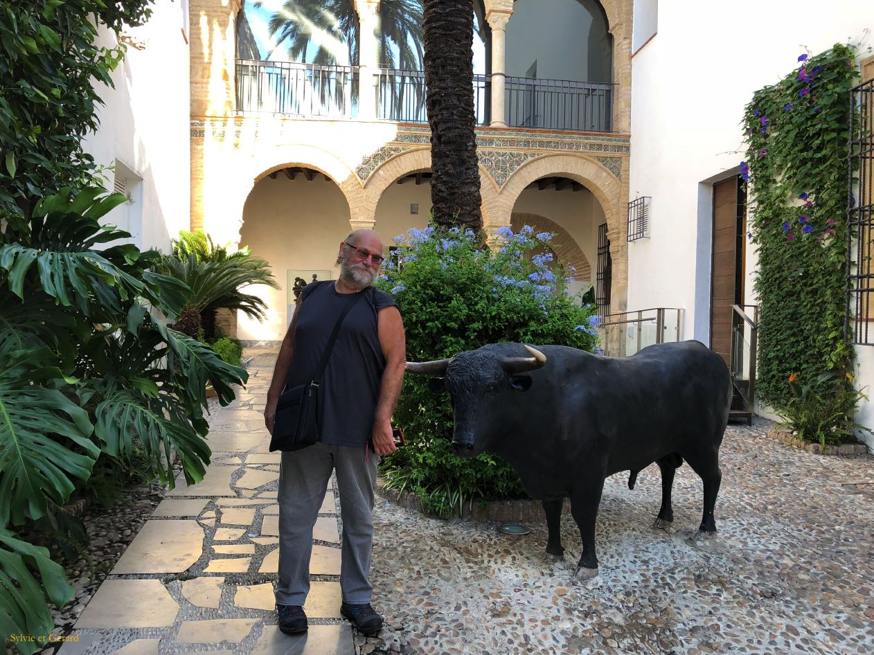 Cordoue 16 la Judéria Zoco et Musée Taurin  