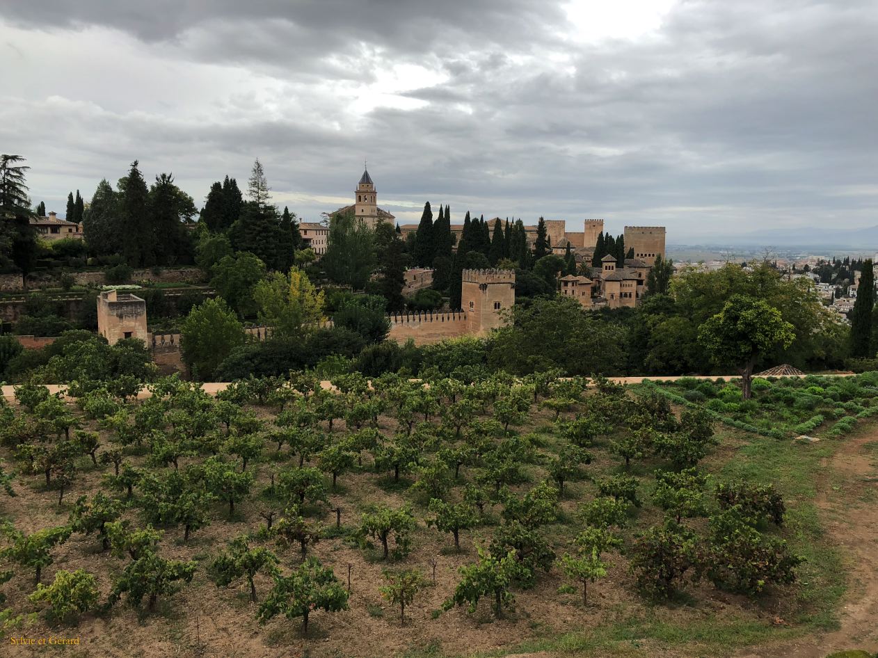 Grenade 11 Alhambra Generalife et ses jardins 
