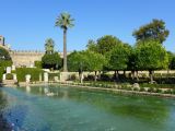 Cordoue 23 Alcazar de los Reyes Christianos les jardins 