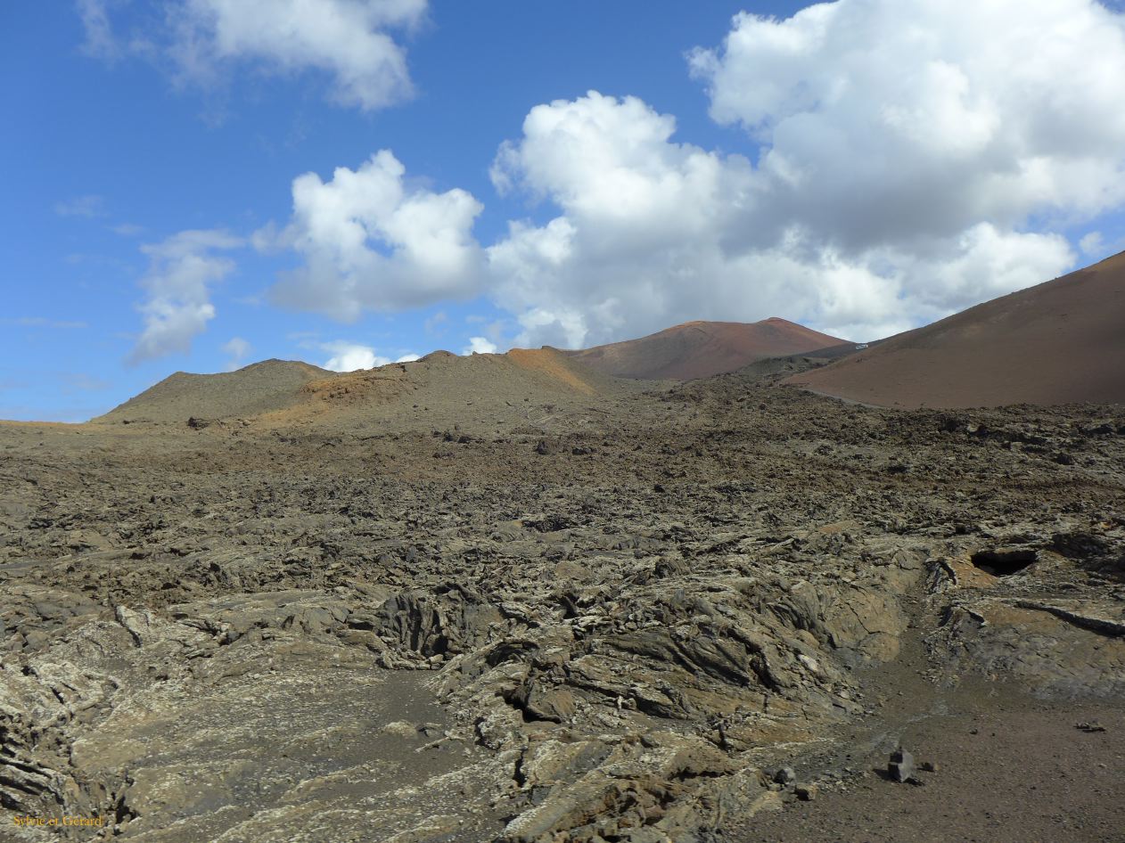 107 Timanfaya National Park P1290725