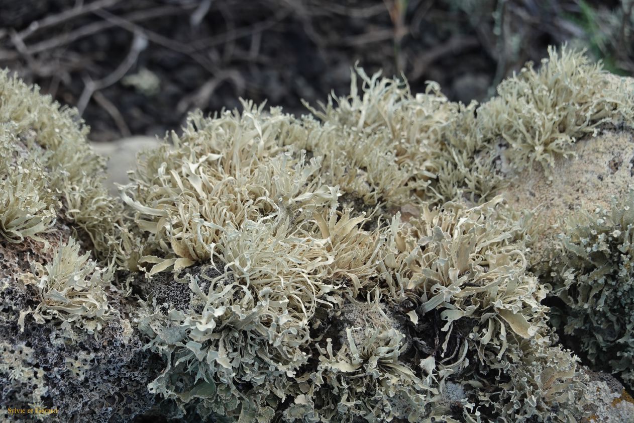 011 Monte Corona DSC05223