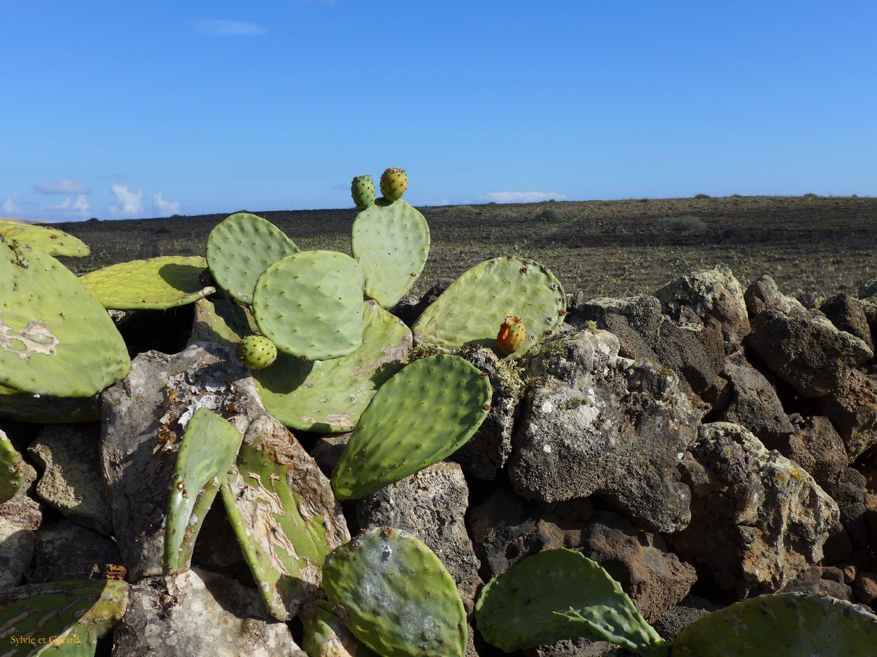 013 Monte Corona P1290129