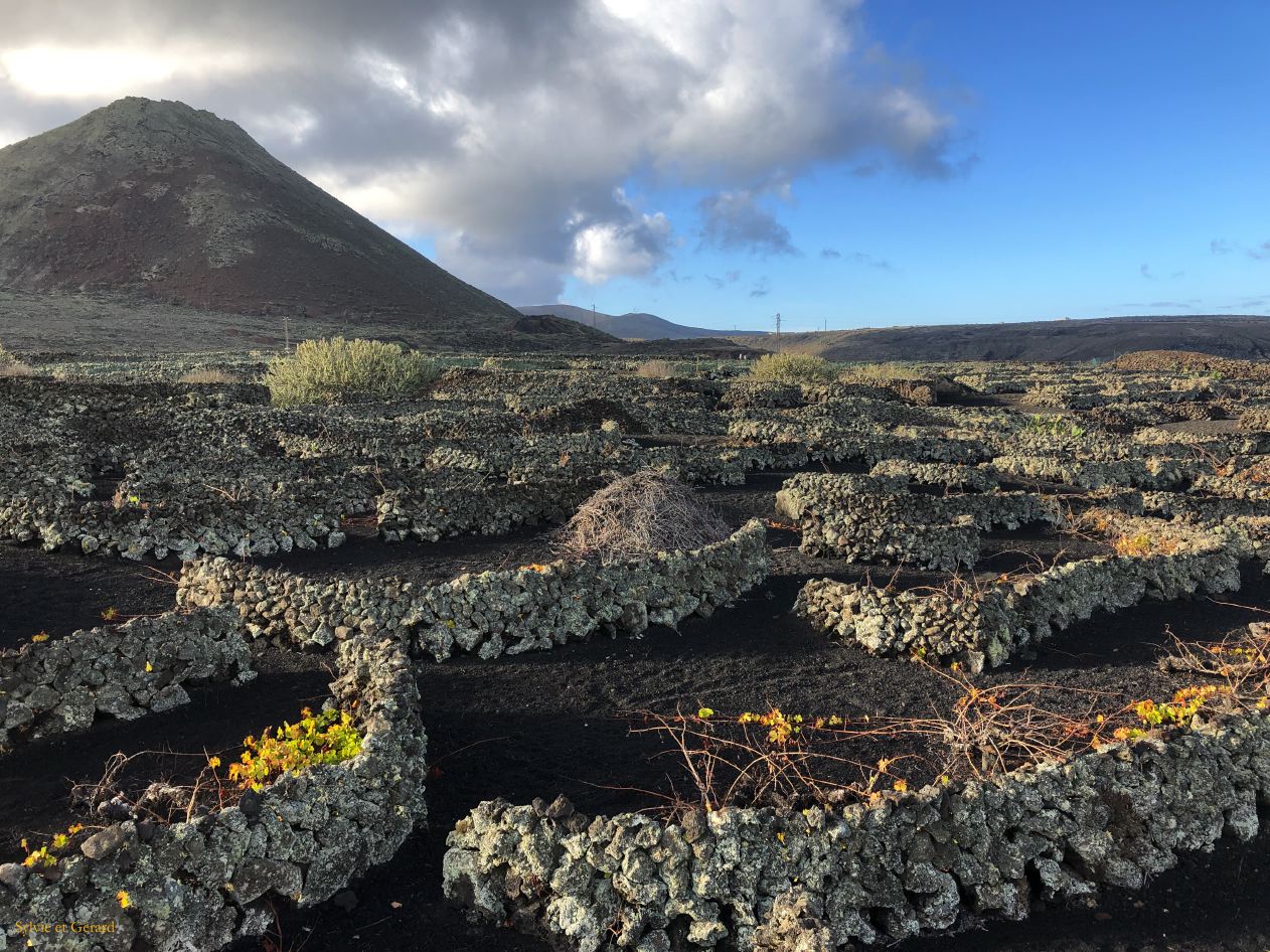 014 Monte Corona vue sur le volcan IMG_9827