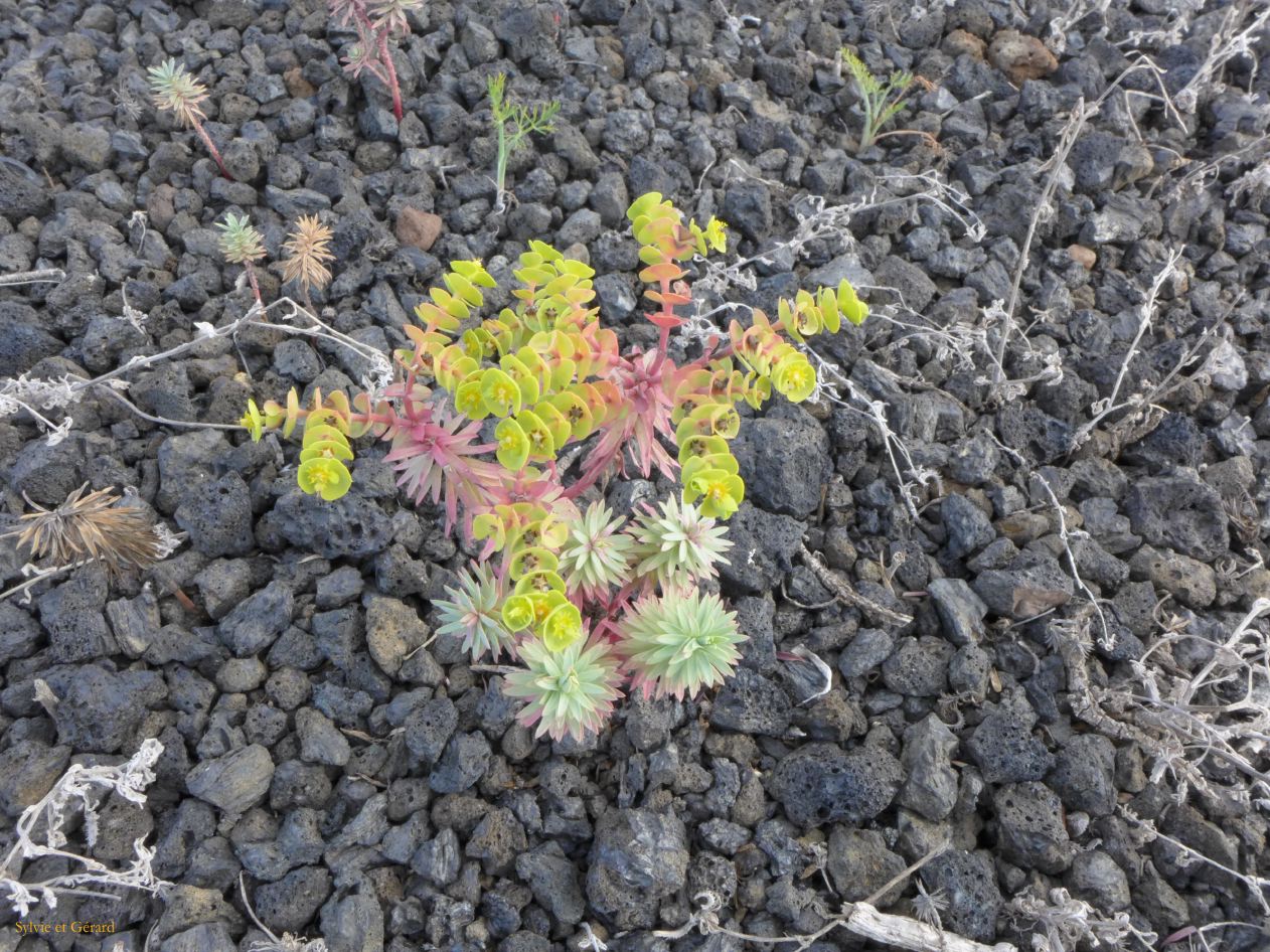 015 Monte Corona P1290184