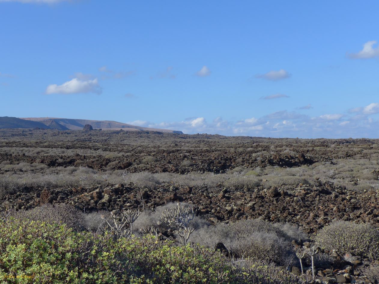 024 Cueva de los Verdes paysage extérieur P1290035