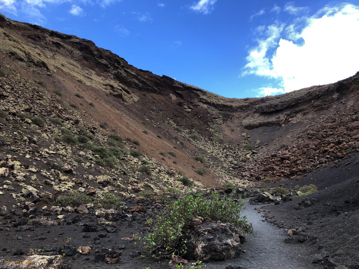 036 Montana del Cuervo la caldeira IMG_7563