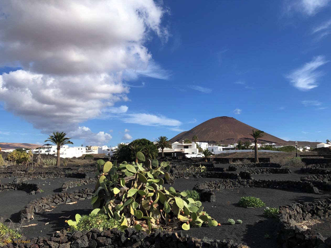 057 Tahiche fondation César Manrique maison dans le champs de lave IMG_7626