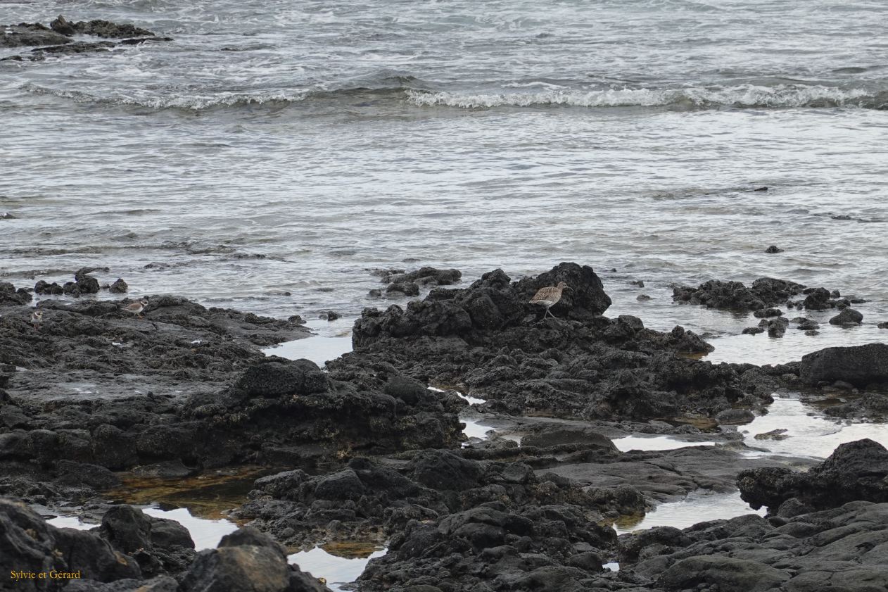 059 Punta Mujures DSC05726