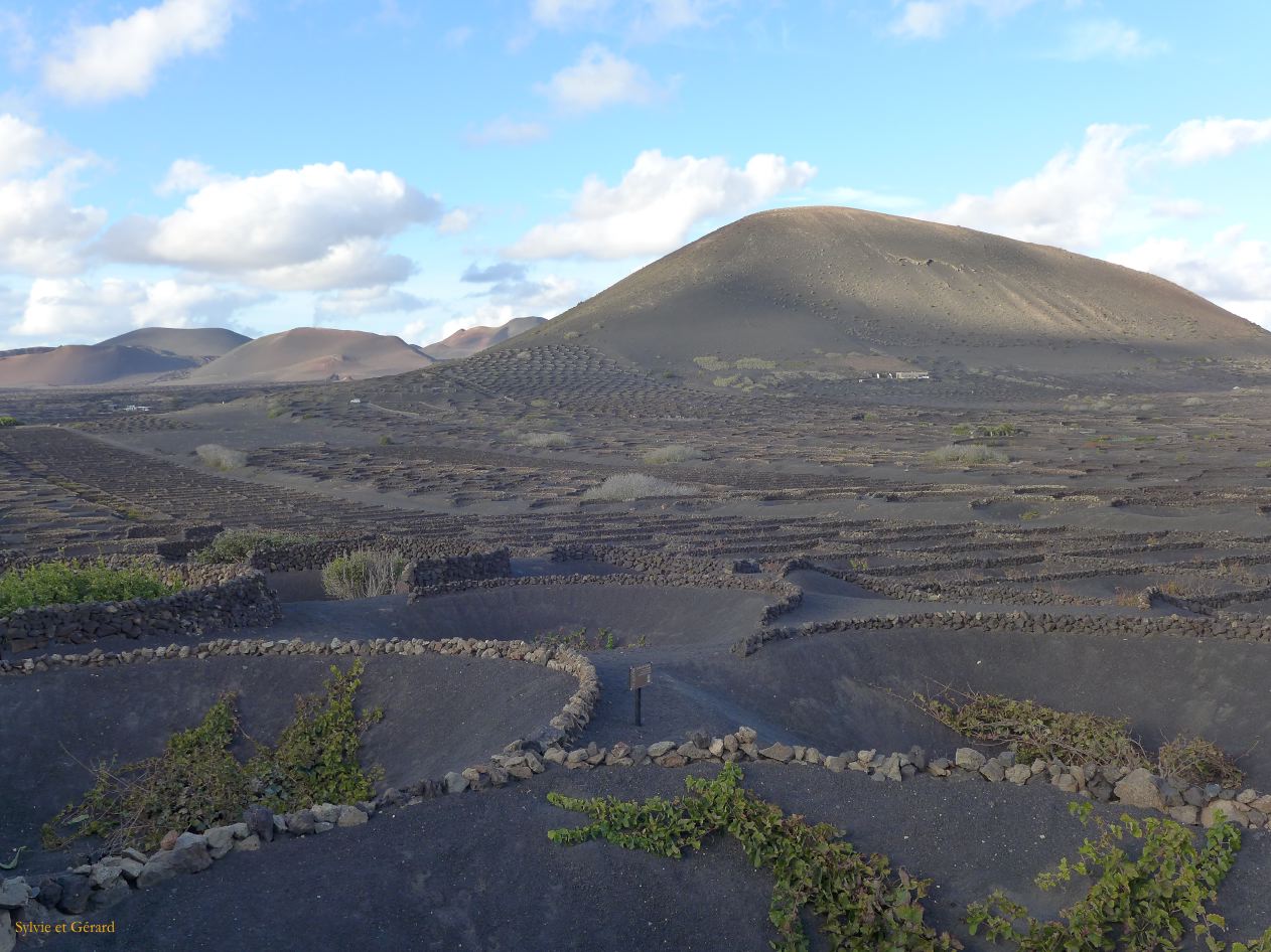 076 La Géria Bodegas et vignobles P1290516