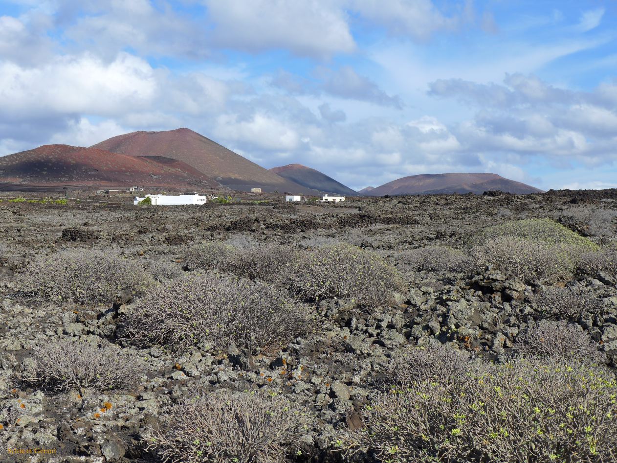092 El Golfo le champs de lave P1290386
