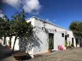 047 Teguise IMG_7243