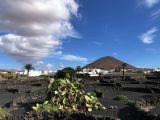 057 Tahiche fondation César Manrique maison dans le champs de lave IMG_7626