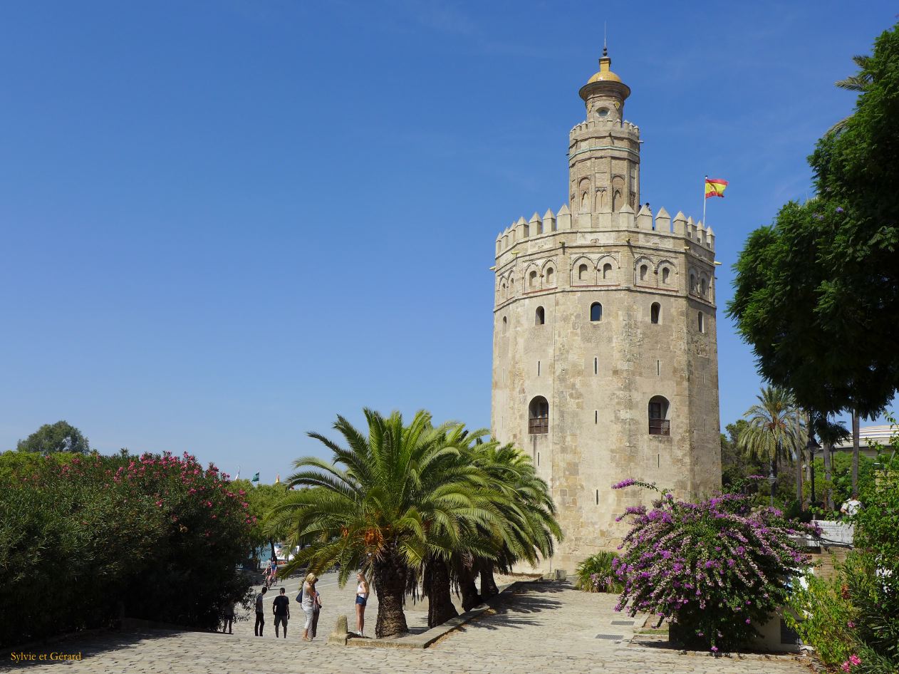 119 Torre del Oro 
