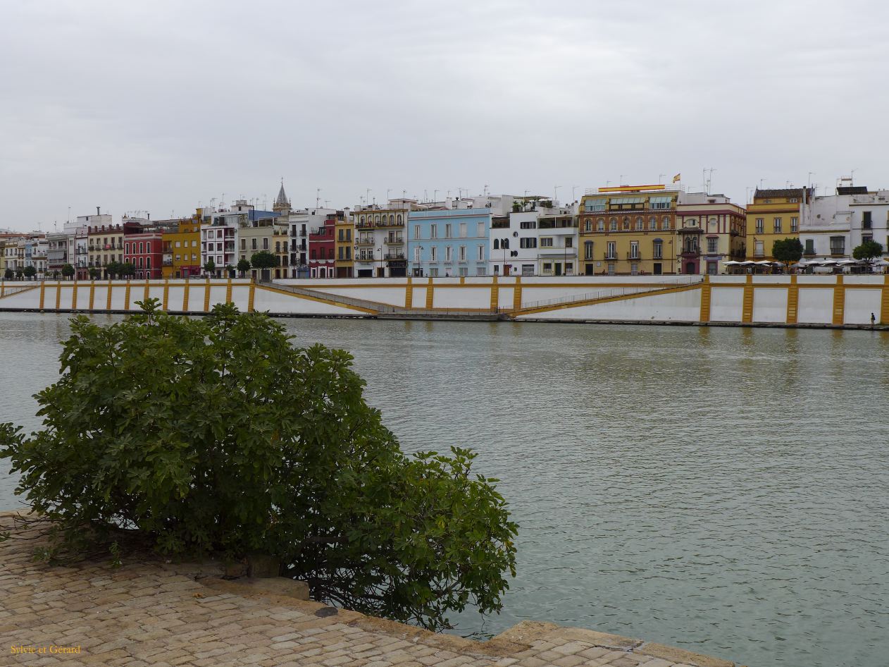 143 Triana et le Quadalquivir 