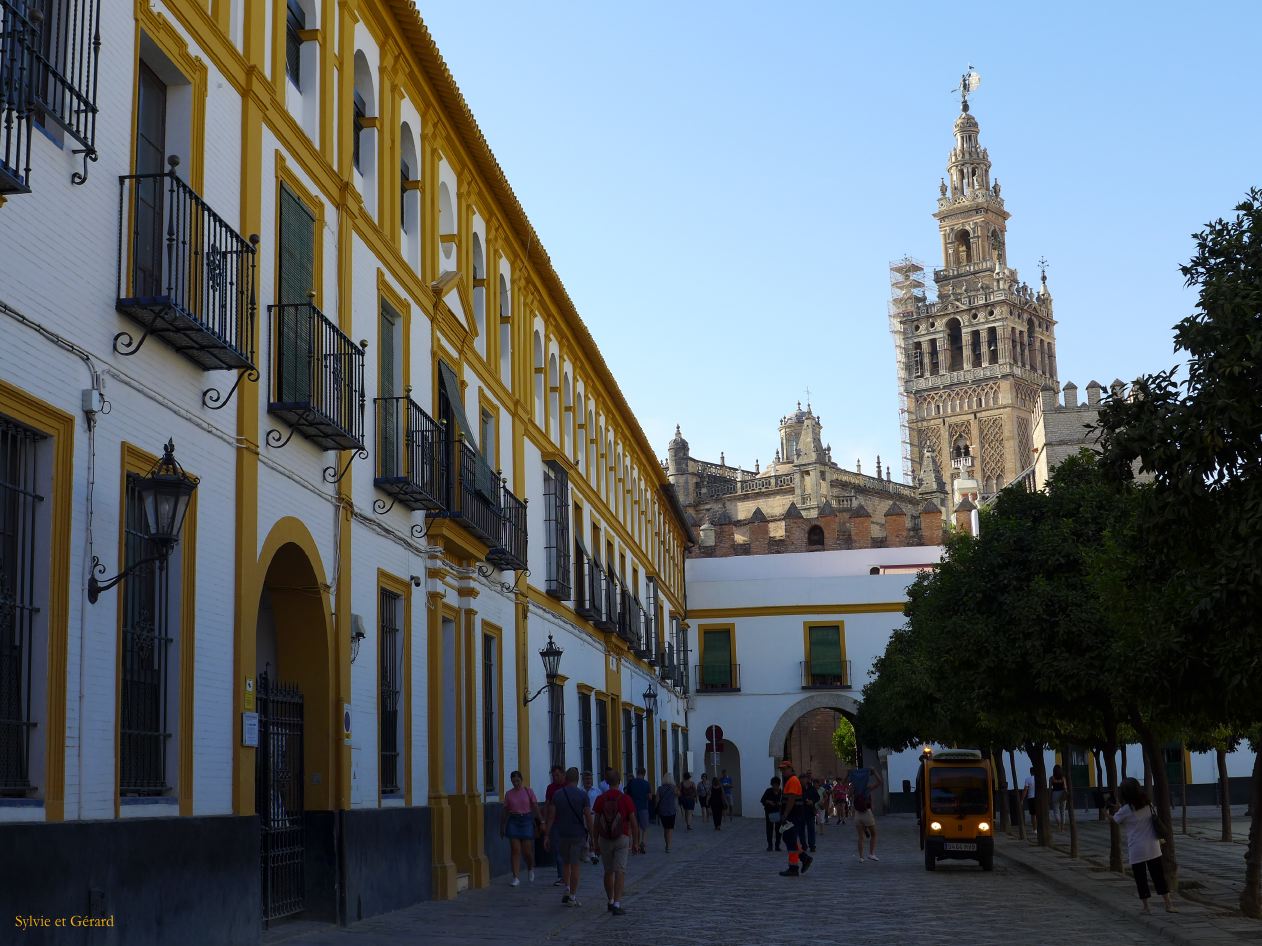 017 Real Alcazar vue sur la Giralda 
