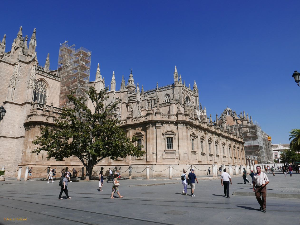 019 la Cathedral  