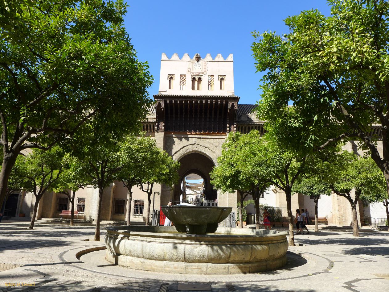031 la Cathedral le patio de los naranjos 