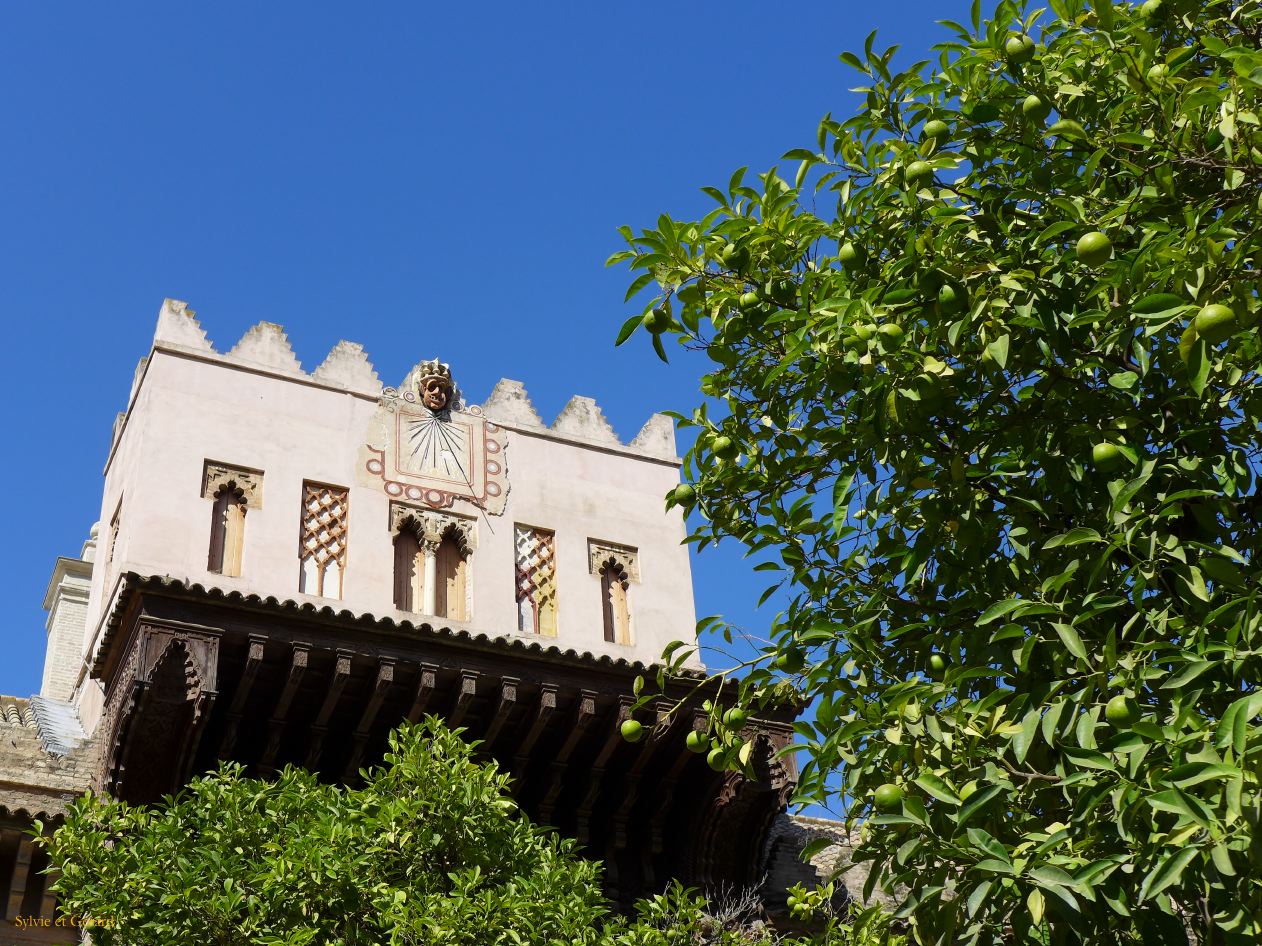 032 la Cathedral le patio de los naranjos 