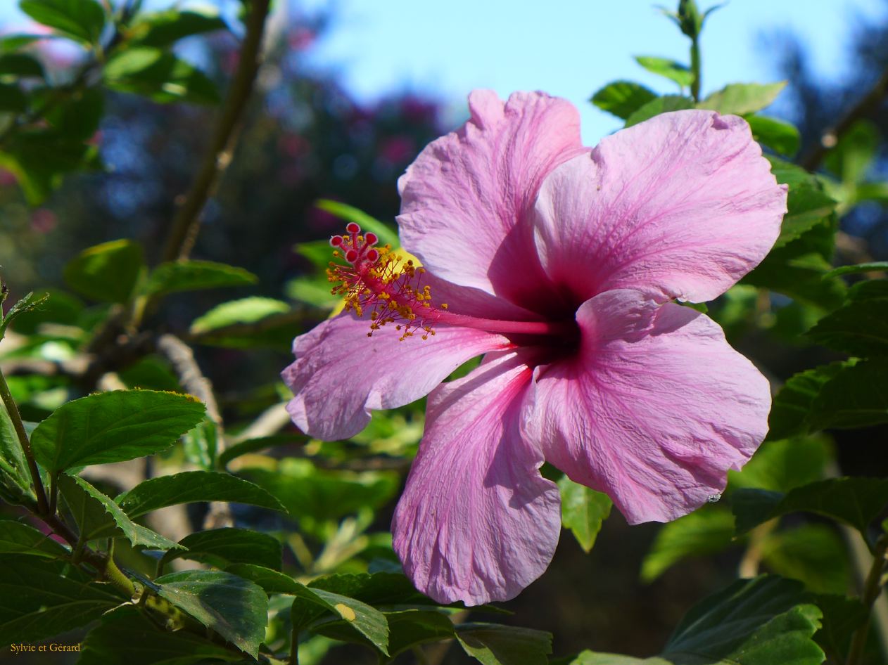 057 Santa Cruz parc Murillo 