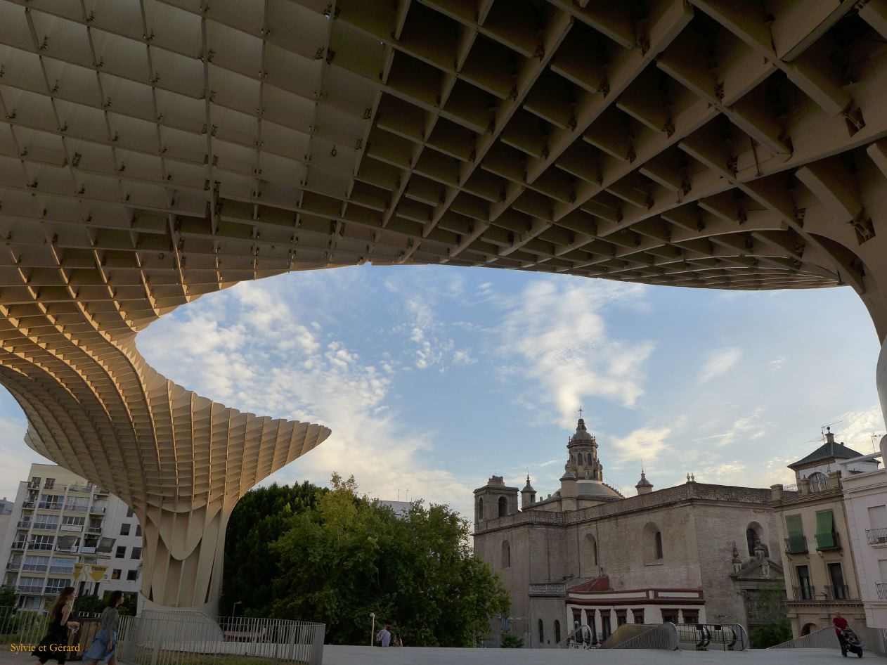 075 Metropol Parasol 