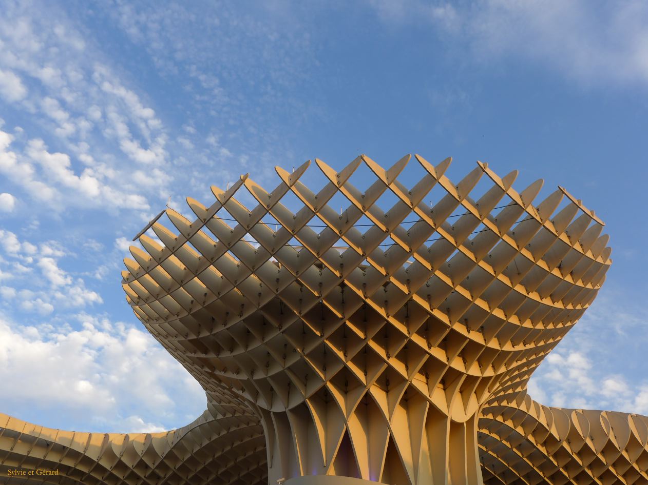 077 Metropol Parasol 