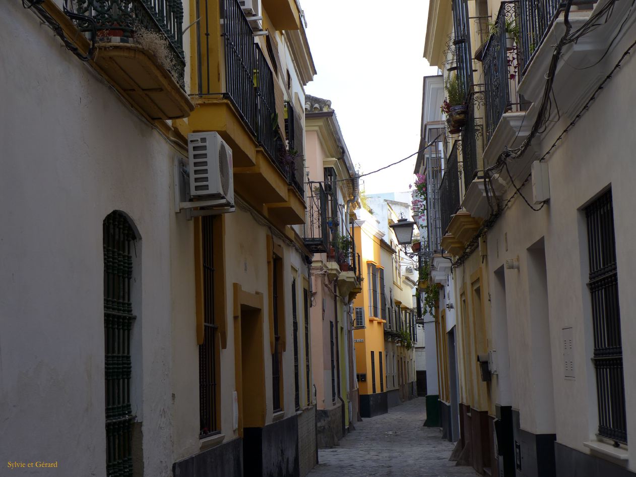 088 Alameda de Hercules ruelle du quartier 