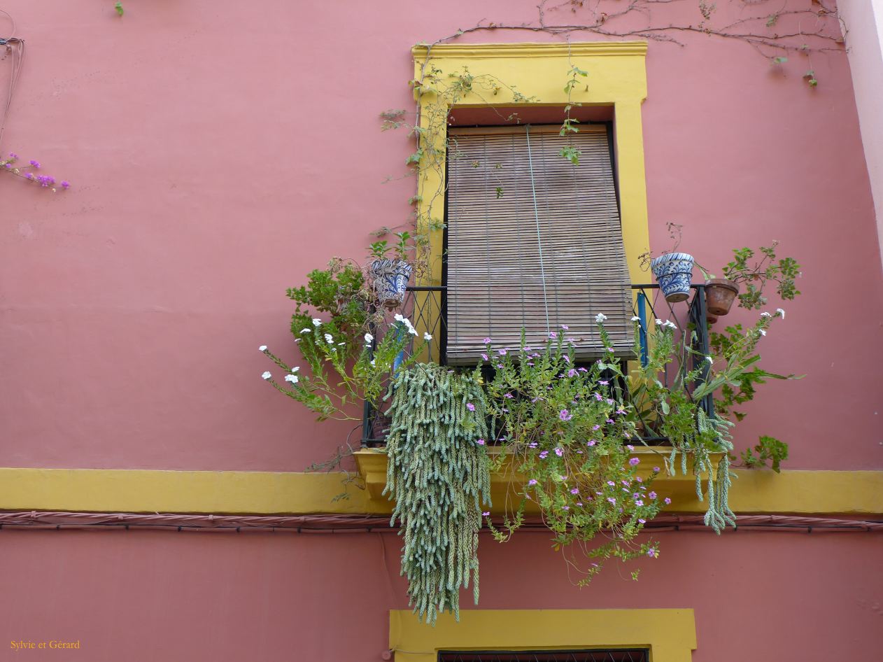 089 Alameda de Hercules dans le quartier 