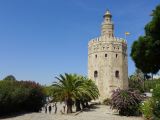 119 Torre del Oro 